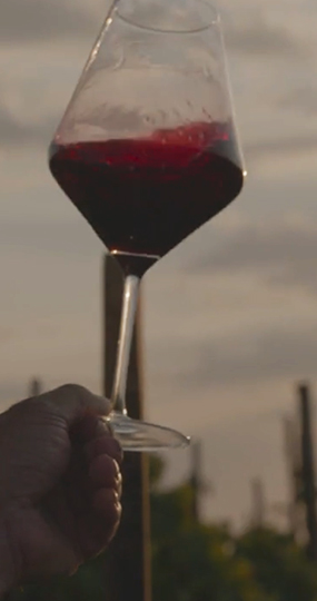 DEGustazioni-mobile (1)